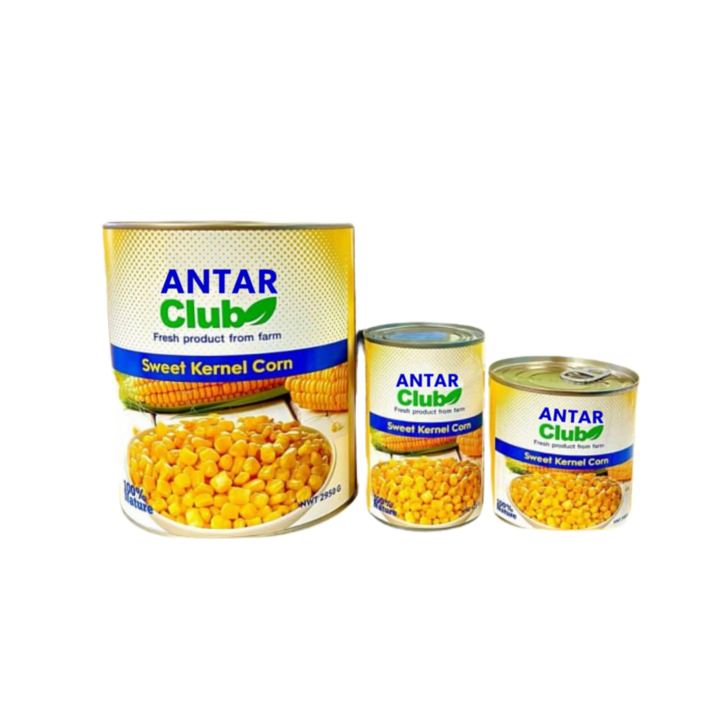 ANTAR Sweet Corn