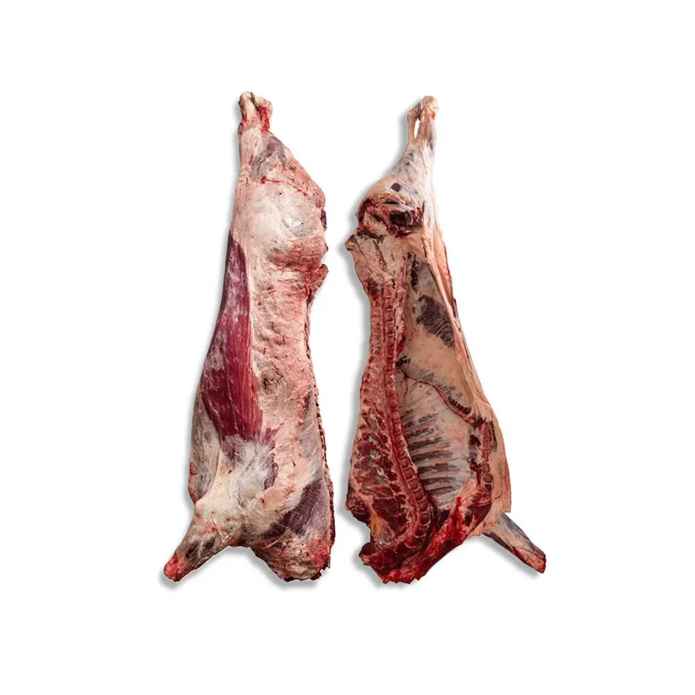 Beef Carcase