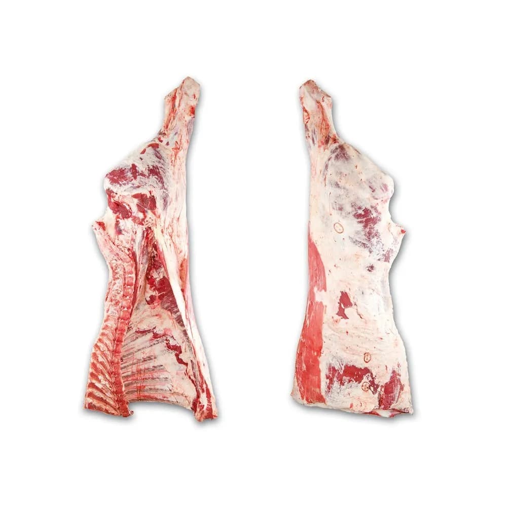 Beef Hindquarter