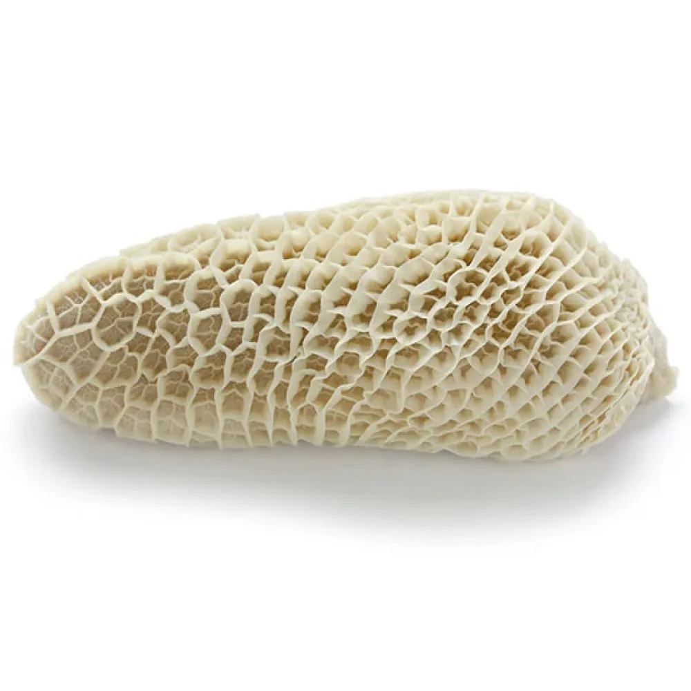 Beef Honeycomb Tripe