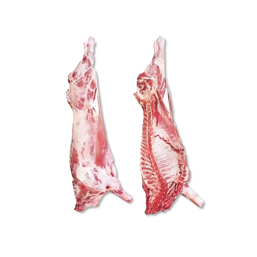 Whole Lamb Carcass