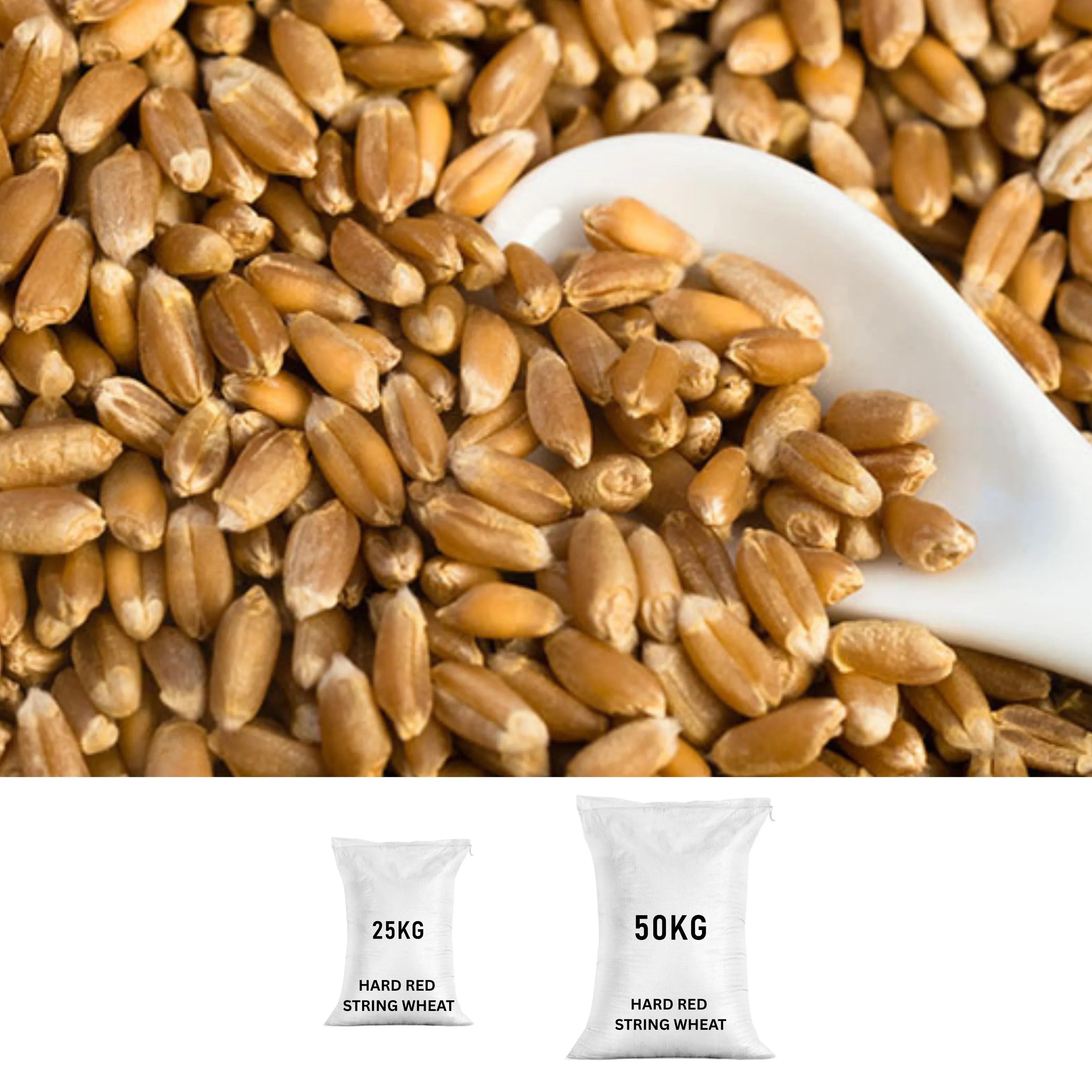 Hard Red Spring Wheat