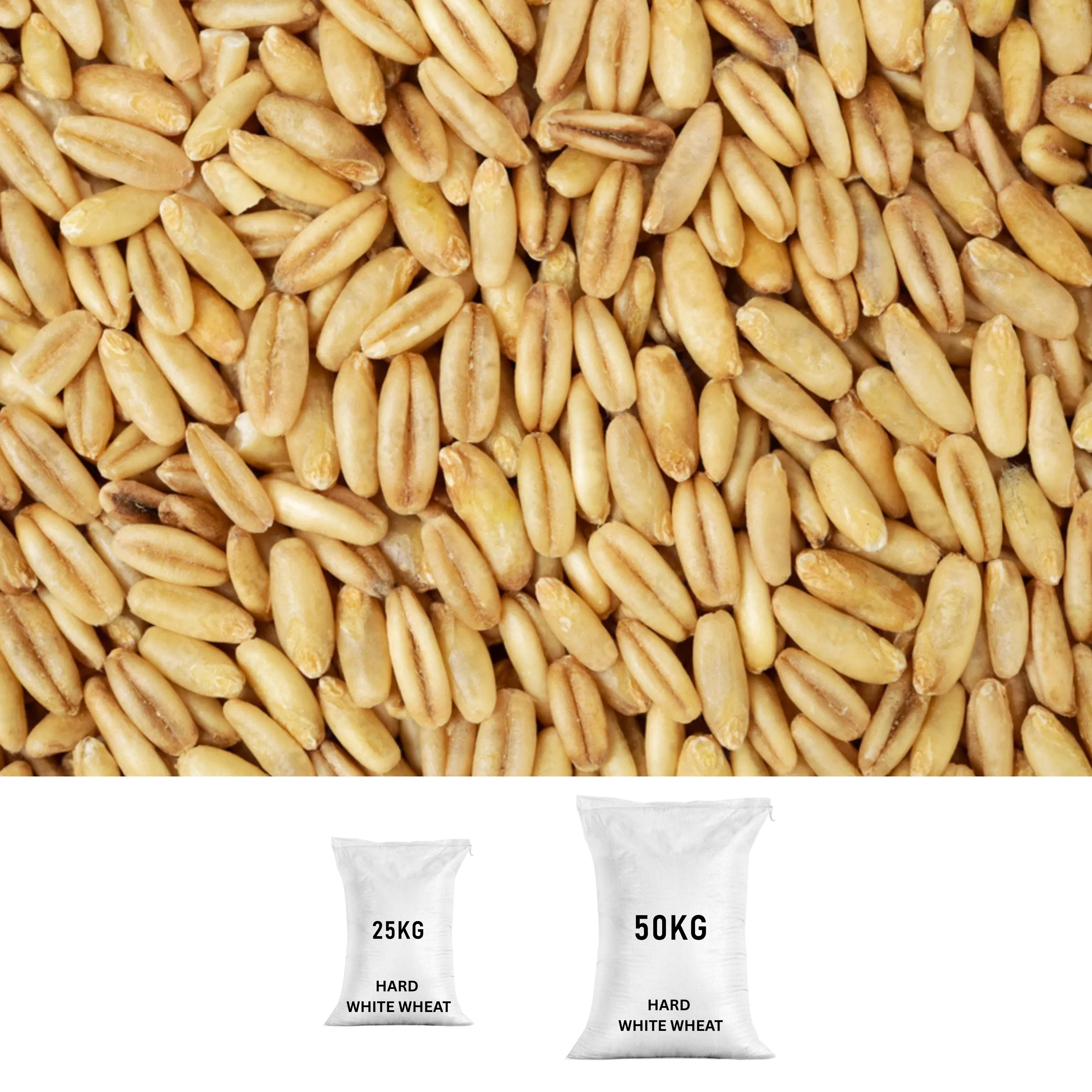 Hard White Wheat