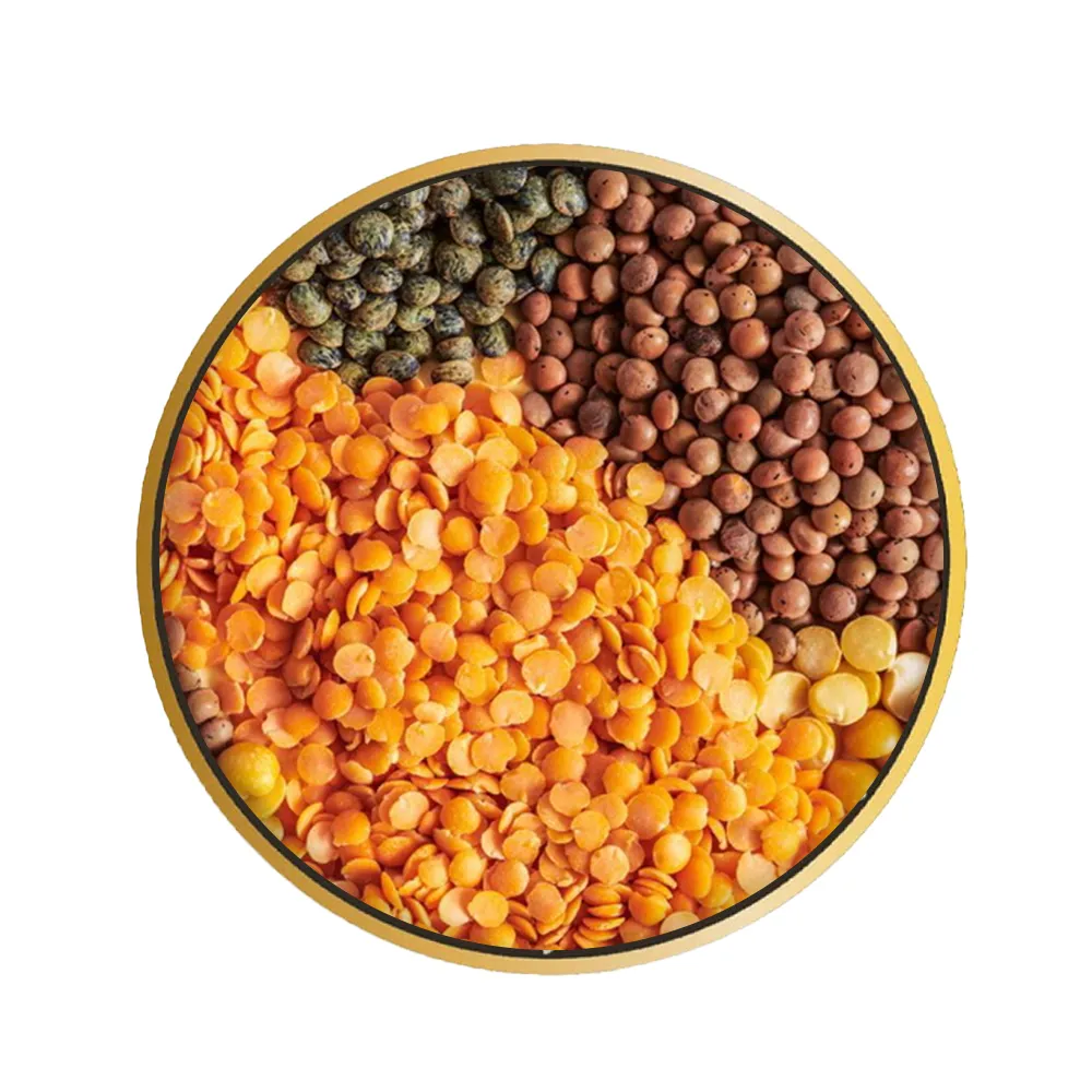 Lentils – Animal Feed
