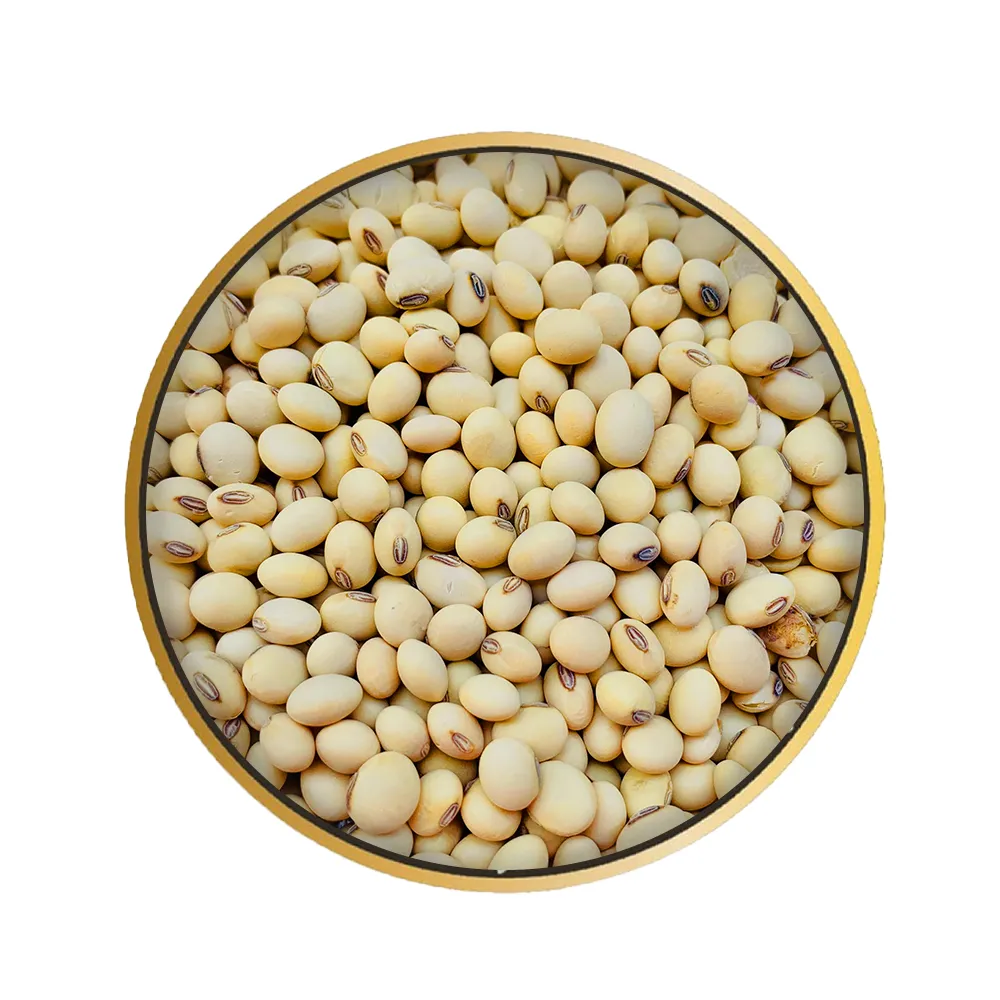 NON-GMO GENETICALLY MODIFIED SOYBEANS