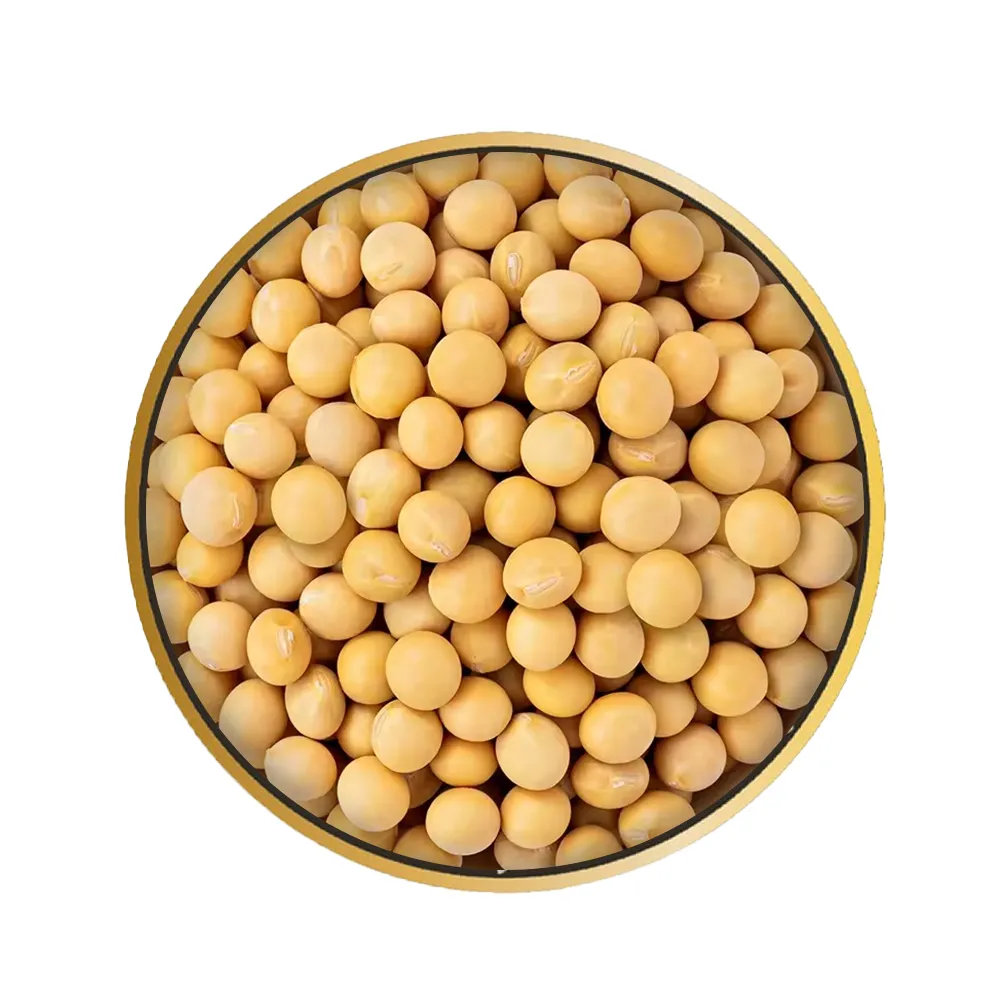 NON-GMO SOYBEANS
