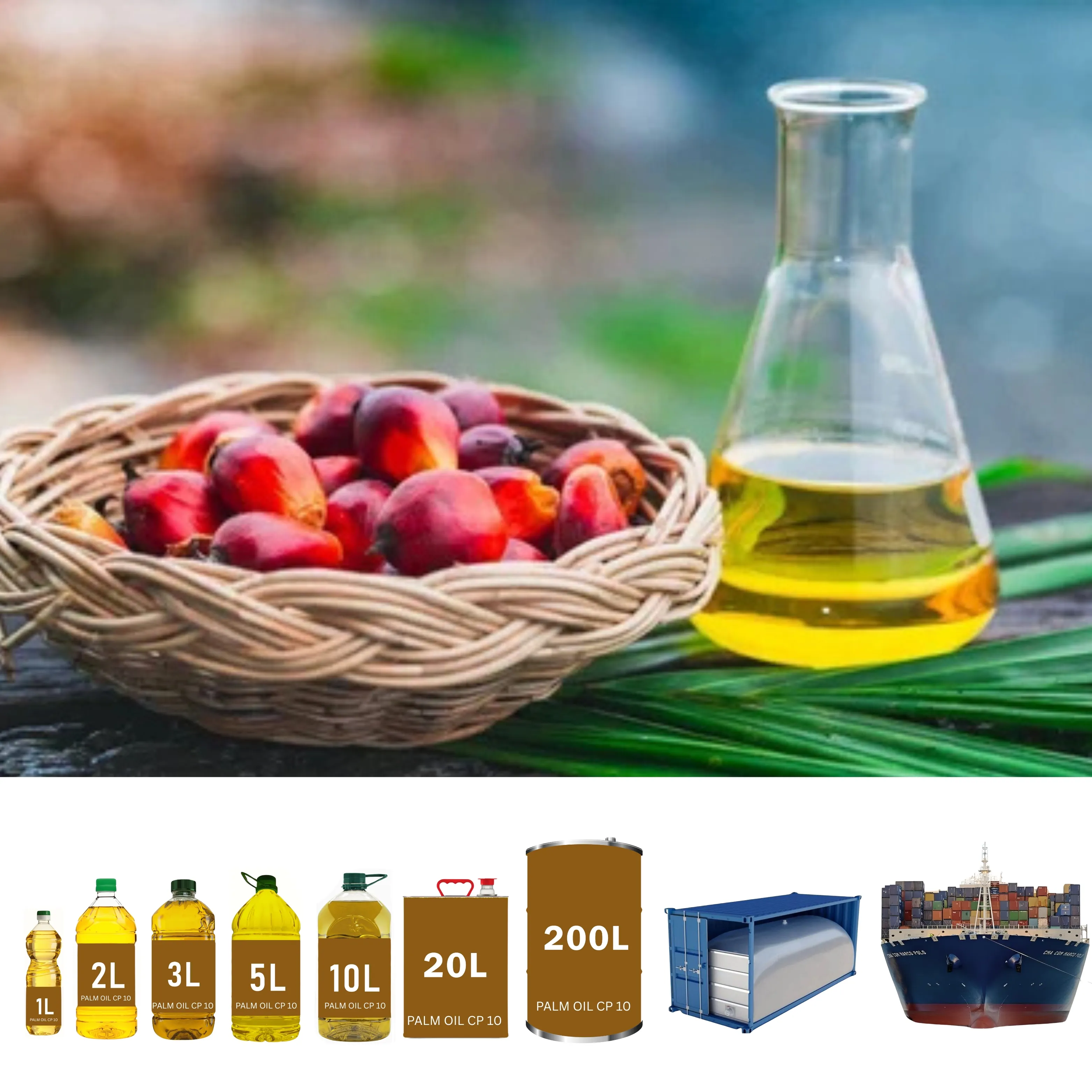 Palm Oil CP 10