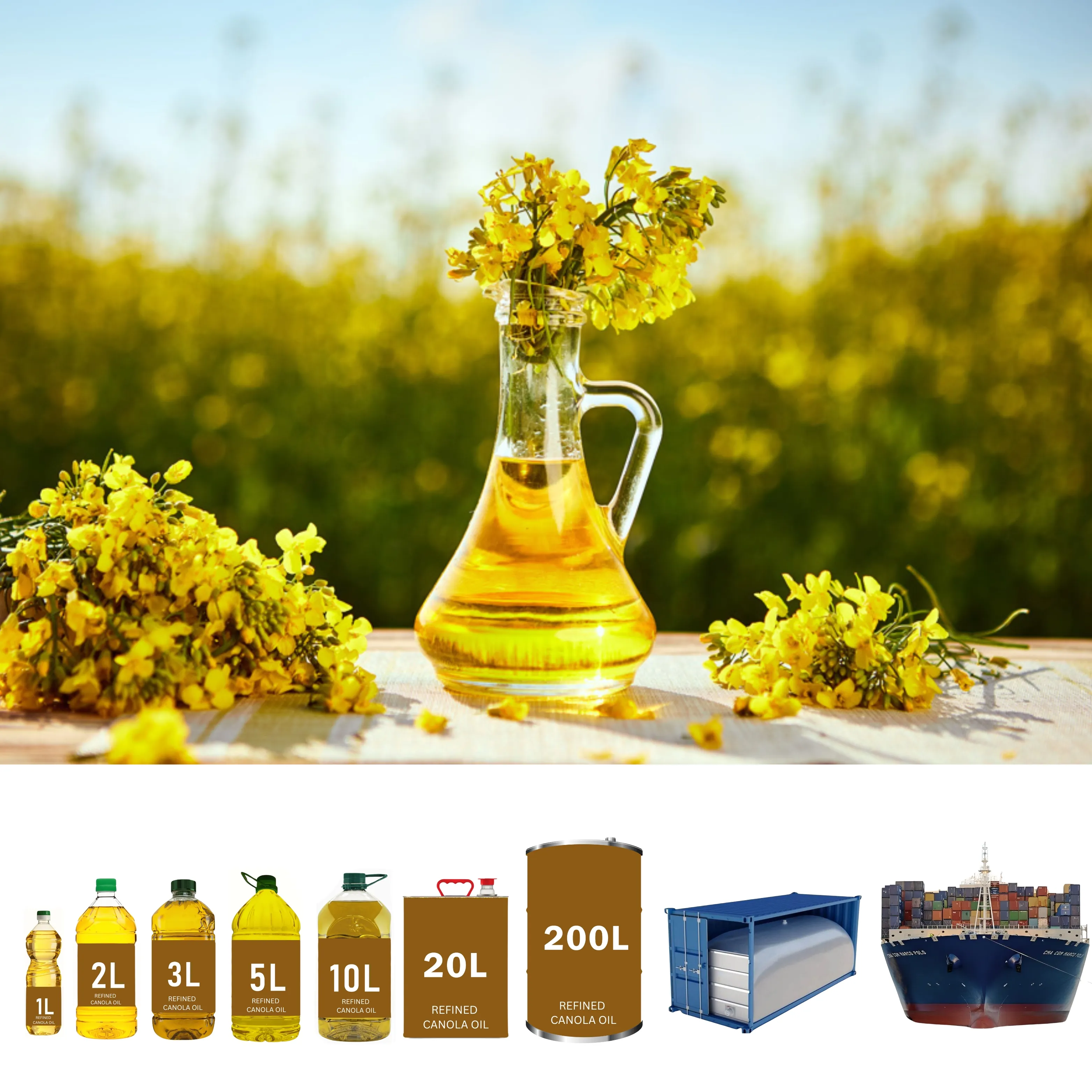 Refined Canola Oil