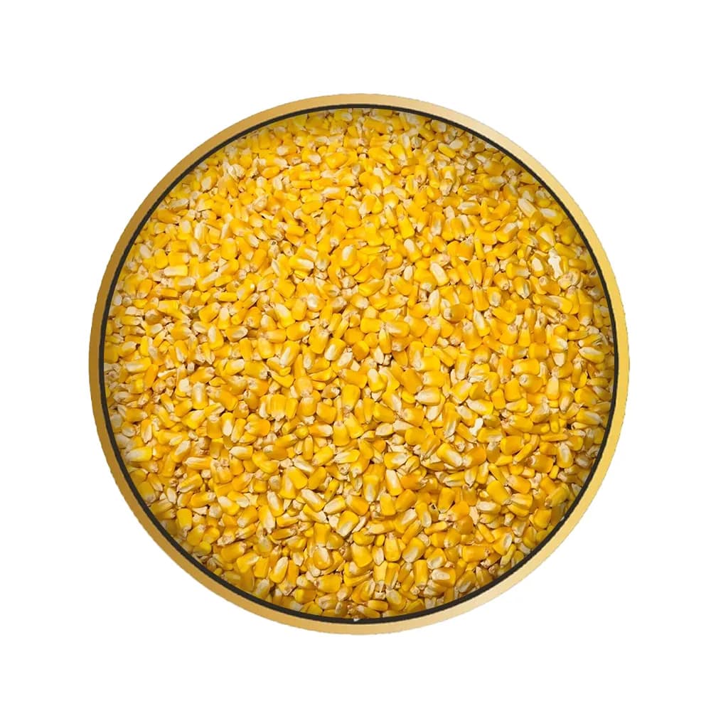 Yellow Corn – Animal Feed